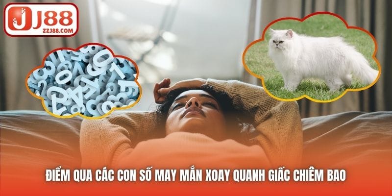 Điểm qua các con số may mắn xoay quanh giấc chiêm bao
