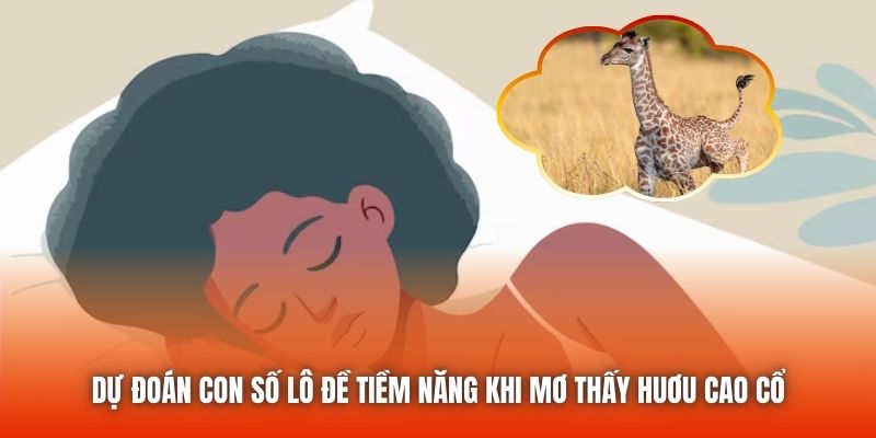 Dự đoán con số lô đề tiềm năng khi mơ thấy huơu cao cổ