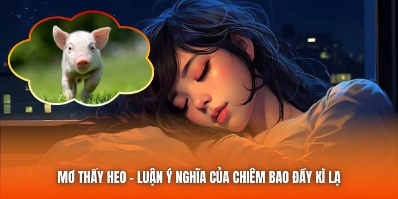 Mơ Thấy Heo - Luận Ý Nghĩa Của Chiêm Bao Đầy Kì Lạ