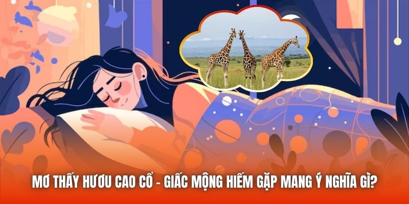 Mơ Thấy Hươu Cao Cổ - Giấc Mộng Hiếm Gặp Mang Ý Nghĩa Gì?